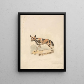 Samuel Howitt - Abyssinian Dog.webp