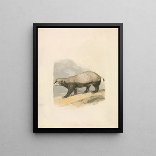 Samuel Howitt - HoneyBadger.webp