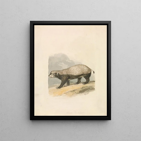 Samuel Howitt - HoneyBadger.webp
