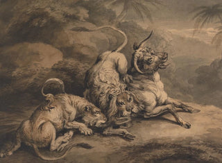 Samuel Howitt - Lion and Lioness Attacking a Steer.webp