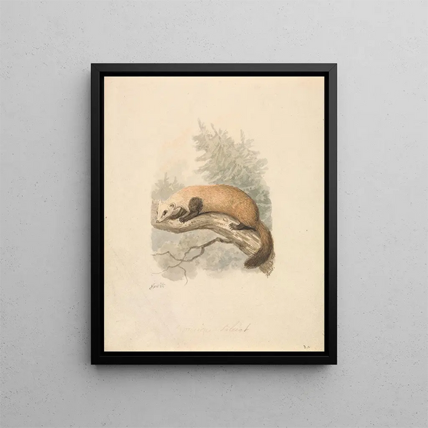 Samuel Howitt - Polecat.webp