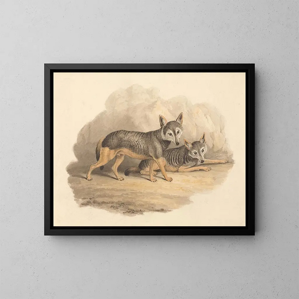 Two Hyenas - Samuel Howitt — framed artwork on a wall
