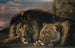León y leona dormidos - Samuel Raven — vista de la obra