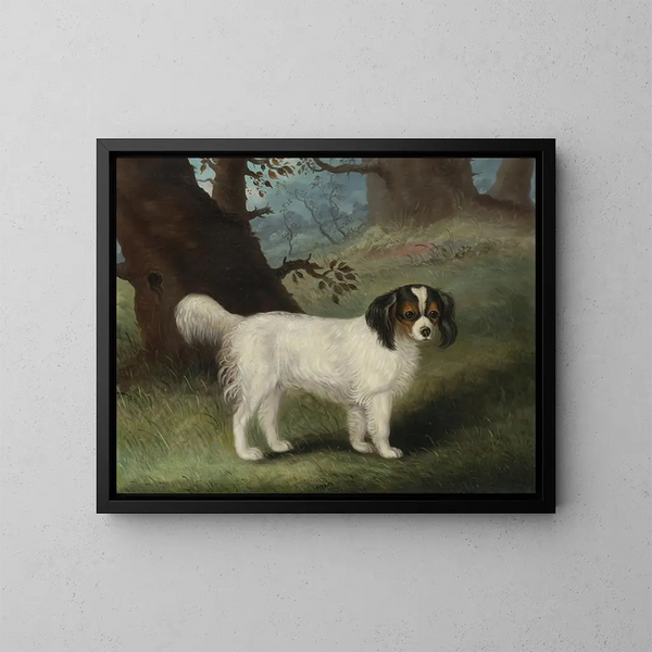 King Charles Spaniel - Samuel Spode — cuadro enmarcado en la pared