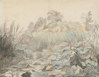 Un río rocoso - Samuel Woodforde — vista de la obra