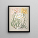 Snow Seaside Daisy - Sarah Featon — framed artwork on a wall