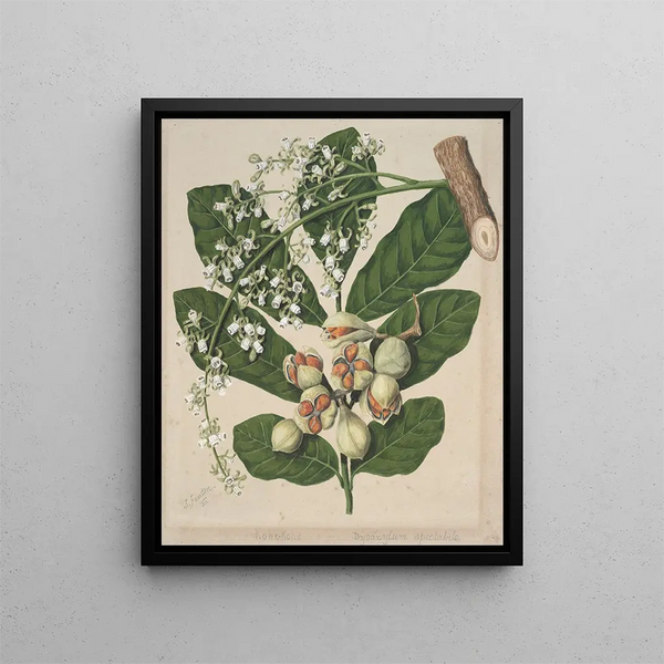 Rien - Sarah Featon — cuadro enmarcado en la pared