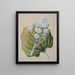Myosotidium hortensia Myosotis de la isla Chatham - Sarah Featon — cuadro enmarcado en la pared