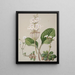 Ourisia - Sarah Featon — cuadro enmarcado en la pared
