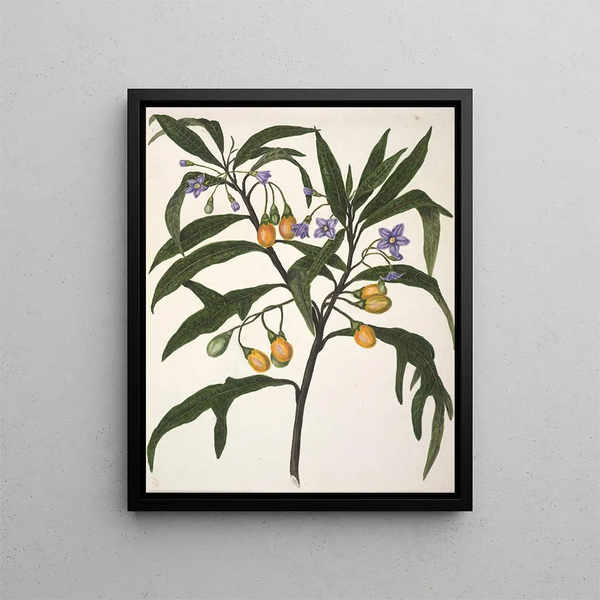 Bonjour - Sarah Featon — cuadro enmarcado en la pared