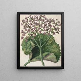 Sarah Featon - Untitled.webp