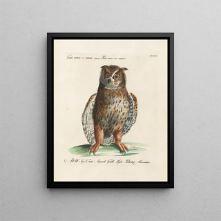 Saverio Manetti - Ornithologia methodice digesta Pl082.webp