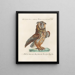 Saverio Manetti - Ornithologia methodice digesta Pl083.webp