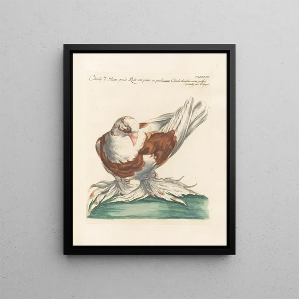 Ornithology Painting methodically digested Pl265 - Saverio Manetti — framed artwork on a wall