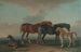Mares and Foals Facing Right - Sawrey Gilpin — artwork view