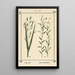 Atlas de las plantas para Mi cura de agua Pl05 - Sebastian Kneipp — cuadro enmarcado en la pared