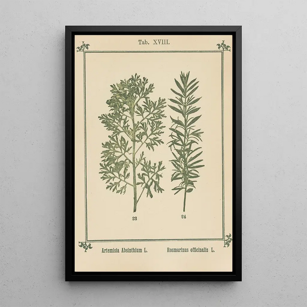 Atlas de las plantas para Mi cura de agua Pl37 - Sebastian Kneipp — cuadro enmarcado en la pared