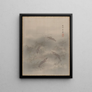 Seki Shk - Shrimp Ebi.webp