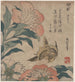 Shakuyaku kana ari - Katsushika Hokusai — vista de la obra