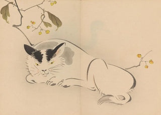 Shibata Zeshin - Zeshin iboku tairyukyo gafu Pl08.webp