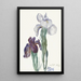 Iris - Sientje Mesdag van Houten — cuadro enmarcado en la pared