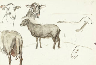 Sientje Mesdag Van Houten - Schetsen van schapen.webp