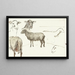 Sketches of sheep - Sientje Mesdag van Houten — framed artwork on a wall