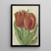 Two Red Tulips - Sientje Mesdag van Houten — framed artwork on a wall