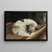 Perro descansando - Sigrid Granfelt — cuadro enmarcado en la pared