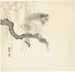 Monkey on a tree branch - Ohara Koson — artwork view