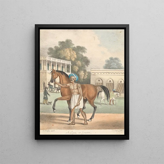 Sir Charles DOyly - A Syce or Groom.webp