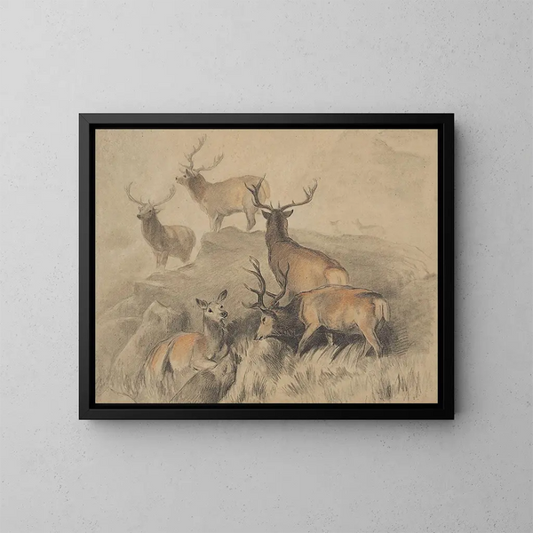 Algunos de los ciervos más hermosos del bosque - Sir Edwin Henry Landseer — cuadro enmarcado en la pared