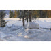 Reproduction of the painting Winter Sun Painting - Edward Theodore Compton