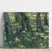 Reproducción del cuadro Bosque - Vincent van Gogh