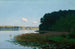 Lago con nenúfares - Stanisław Witkiewicz — vista de la obra