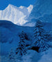 Winter Nest - Stanisław Witkiewicz — artwork view