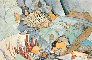 Stephen Haweis - Atlantic trunkfish.webp