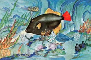 Stephen Haweis - Foolfish.webp