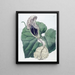 de aristoloche con flores de barco - Sydenham Edwards — cuadro enmarcado en la pared