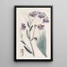 Cynoglosse a flores de buglosse - Sydenham Edwards — cuadro enmarcado en la pared