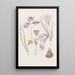 Crocus - Sydenham Edwards — cuadro enmarcado en la pared