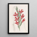 Garden Variety Painting - Sydenham Edwards — framed artwork on a wall