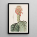 Aphelandra naranja - Sydenham Edwards — cuadro enmarcado en la pared