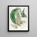 Coryanthes tacheté - Sydenham Edwards — cuadro enmarcado en la pared