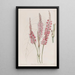 Polygonum à tige embrassante - Sydenham Edwards — cuadro enmarcado en la pared