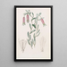 Collania suave - Sydenham Edwards — cuadro enmarcado en la pared