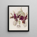 Stanhopea a Flores Rayadas - Sydenham Edwards — cuadro enmarcado en la pared