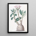 Pachypodium tubéreux - Sydenham Edwards — cuadro enmarcado en la pared