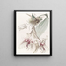 Von Martius Stanhopea Bicolore - Sydenham Edwards — cuadro enmarcado en la pared