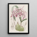 Épidendrum verruqueux - Sydenham Edwards — cuadro enmarcado en la pared